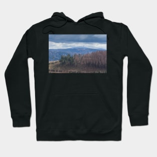 View to the Brocken in winter, Harz, Lower Saxony, Germany, Europe Hoodie